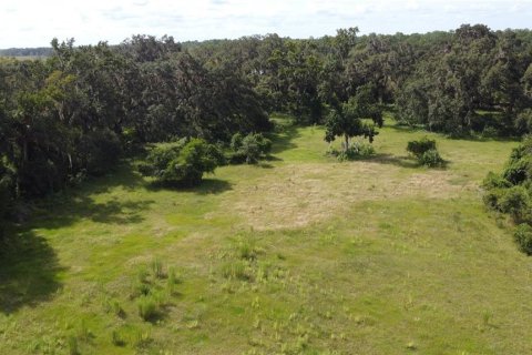 Land in Webster, Florida № 1916365 - photo 6