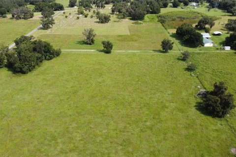 Land in Webster, Florida № 1916365 - photo 10