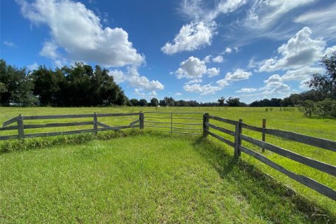 Land in Webster, Florida № 1916365 - photo 1