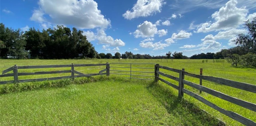 Terreno en Webster, Florida № 1916365