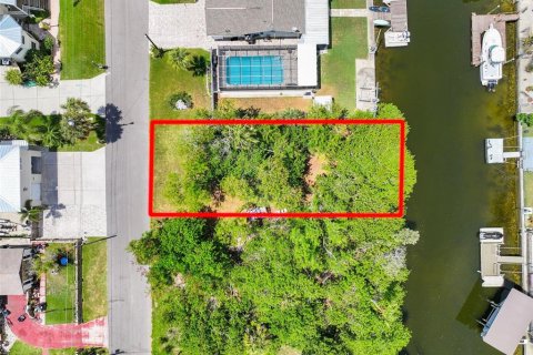 Land in Hudson, Florida № 2150592 - photo 4