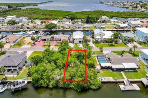 Land in Hudson, Florida № 2150592 - photo 5