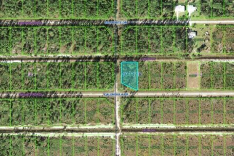 Land in Indian lake estates, Florida № 2162018 - photo 4