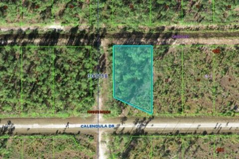 Terrain à Indian lake estates, Floride № 2162018