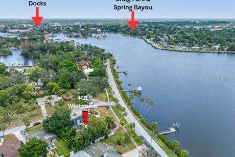 House in Tarpon Springs, Florida 3 bedrooms, 230.12 sq.m. № 1684656 - photo 12