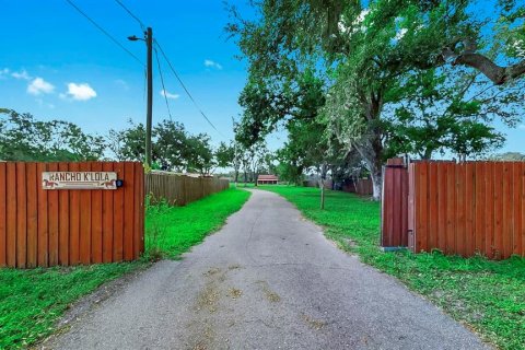Villa ou maison à vendre à Tampa, Floride: 5 chambres, 194.54 m2 № 2139583 - photo 5