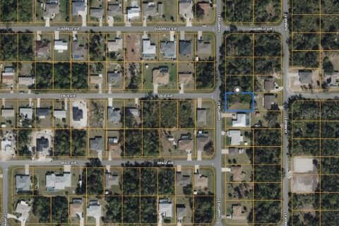 Land in Port Charlotte, Florida № 2160450 - photo 8