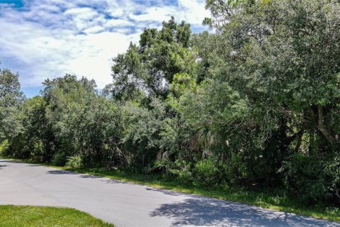 Land in Port Charlotte, Florida № 2160450 - photo 7