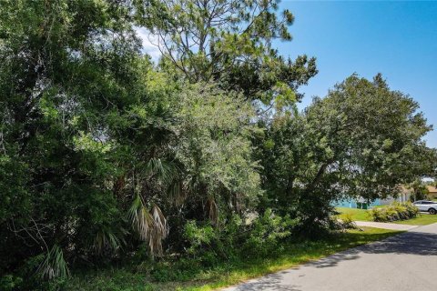 Land in Port Charlotte, Florida № 2160450 - photo 6