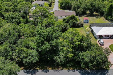 Land in Port Charlotte, Florida № 2160450 - photo 2