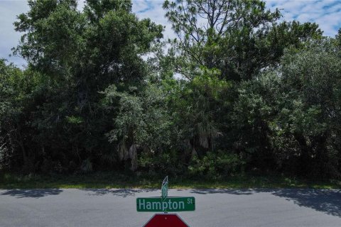 Land in Port Charlotte, Florida № 2160450 - photo 5