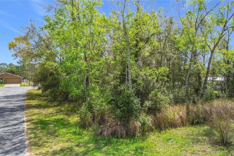 Terrain à vendre à Ocala, Floride № 2160798 - photo 8
