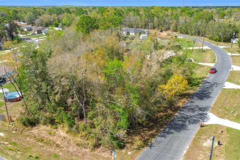 Terrain à vendre à Ocala, Floride № 2160798 - photo 6