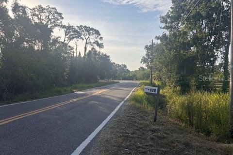 Land in Ruskin, Florida № 1749489 - photo 8