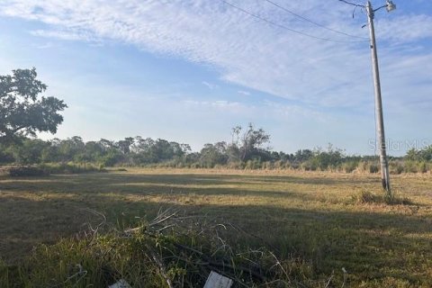 Land in Ruskin, Florida № 1749489 - photo 5