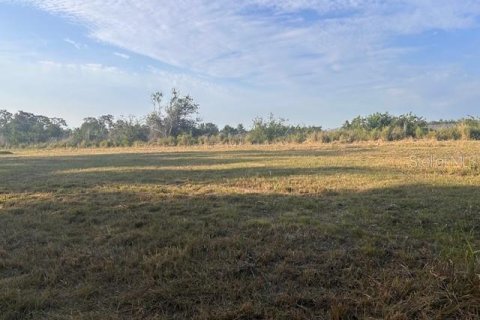 Land in Ruskin, Florida № 1749489 - photo 4