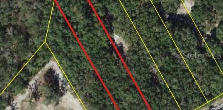 Terrain à Webster, Floride № 2109067