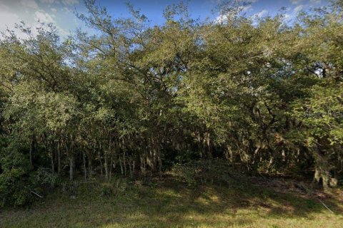Land in Poinciana, Florida № 2159075 - photo 3