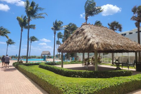 Condo in Hollywood, Florida, 1 bedroom  № 2245648 - photo 24