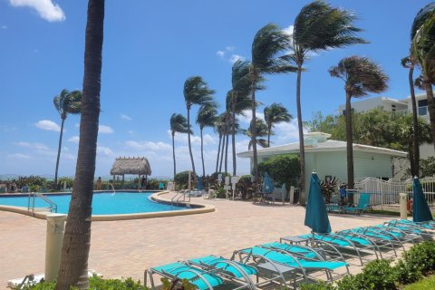 Condo in Hollywood, Florida, 1 bedroom  № 2245648 - photo 25
