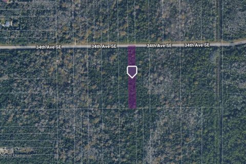 Land in Naples, Florida № 2160832 - photo 4