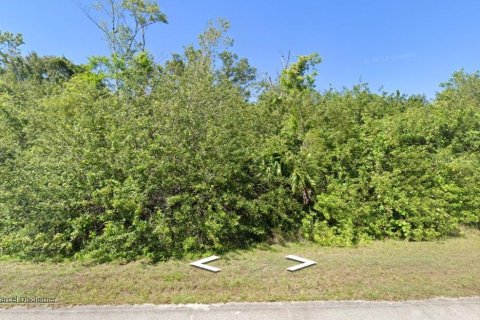 Land in Naples, Florida № 2160832 - photo 2