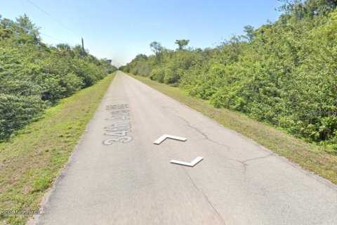 Land in Naples, Florida № 2160832 - photo 3
