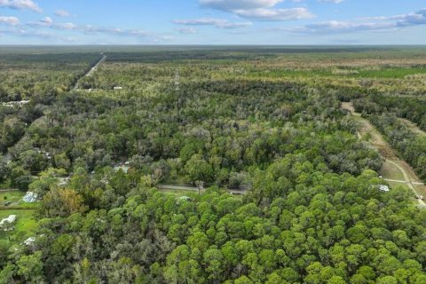 Terreno en venta en Bronson, Florida № 1447274 - foto 3