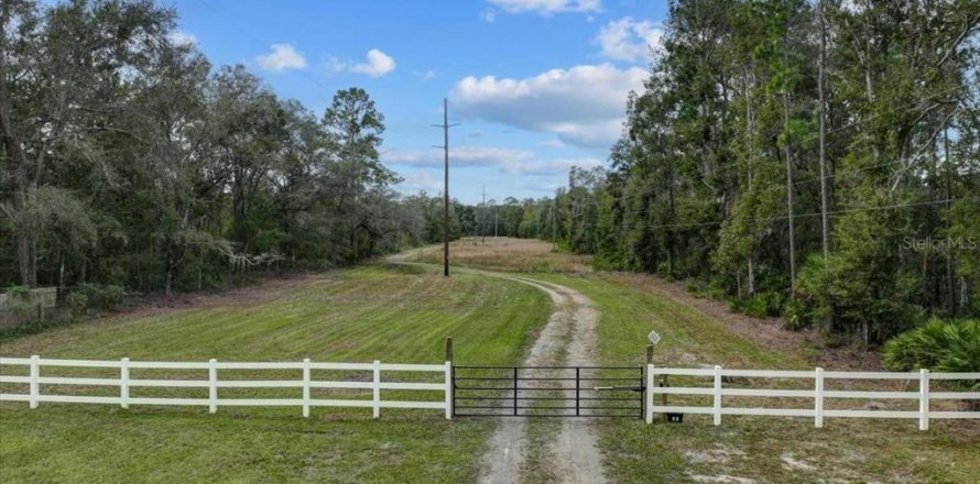 Terreno en Bronson, Florida № 1447274