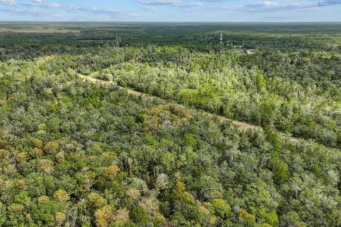 Terreno en venta en Bronson, Florida № 1447274 - foto 7