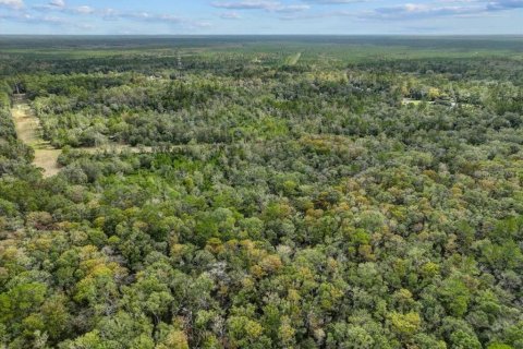 Terreno en venta en Bronson, Florida № 1447274 - foto 5