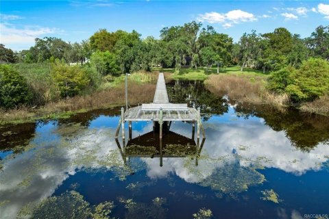 Villa ou maison à vendre à Inverness, Floride: 2 chambres, 211.54 m2 № 2423887 - photo 3