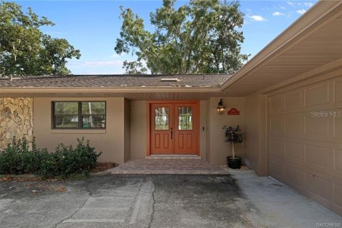 Villa ou maison à vendre à Inverness, Floride: 2 chambres, 211.54 m2 № 2423887 - photo 4