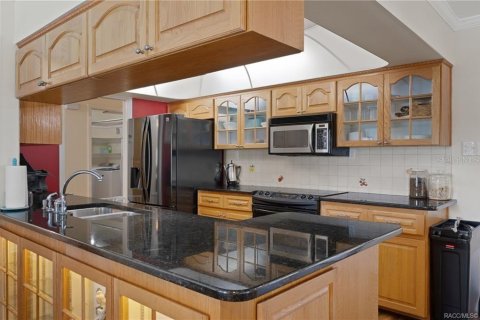Villa ou maison à vendre à Inverness, Floride: 2 chambres, 211.54 m2 № 2423887 - photo 14