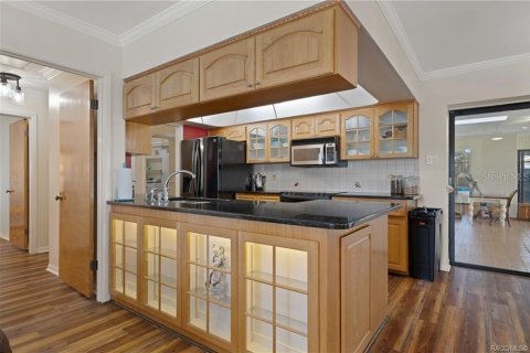 Villa ou maison à vendre à Inverness, Floride: 2 chambres, 211.54 m2 № 2423887 - photo 15