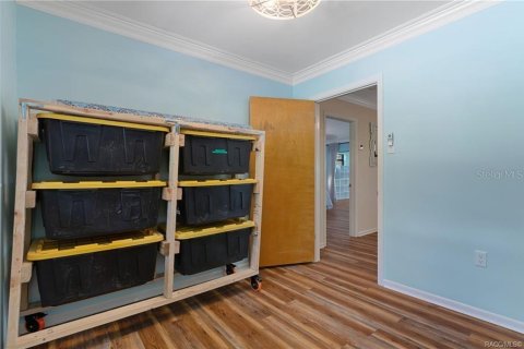 Villa ou maison à vendre à Inverness, Floride: 2 chambres, 211.54 m2 № 2423887 - photo 25