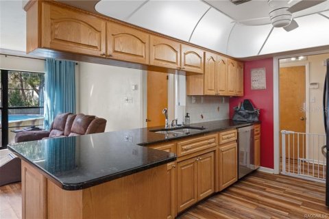 Villa ou maison à vendre à Inverness, Floride: 2 chambres, 211.54 m2 № 2423887 - photo 12