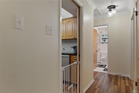 Villa ou maison à vendre à Inverness, Floride: 2 chambres, 211.54 m2 № 2423887 - photo 10