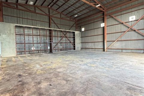 Immobilier commercial à louer à Dover, Floride № 2425380 - photo 5