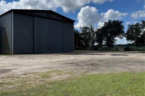 Immobilier commercial à louer à Dover, Floride № 2425380 - photo 2