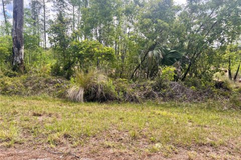 Terrain à vendre à Eustis, Floride № 2164662 - photo 5