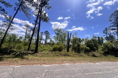 Terrain à Eustis, Floride № 2164662
