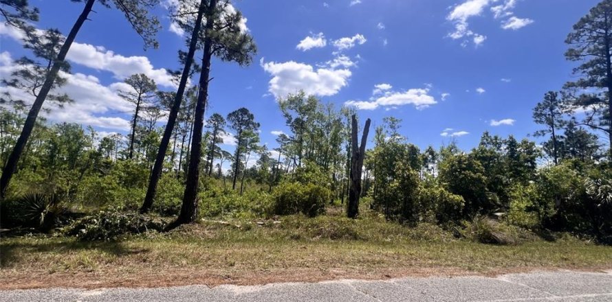 Terrain à Eustis, Floride № 2164662