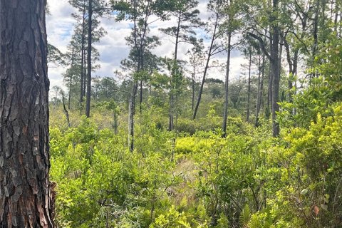 Terrain à vendre à Eustis, Floride № 2164662 - photo 4