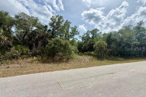 Land in Port Charlotte, Florida № 2197325 - photo 3