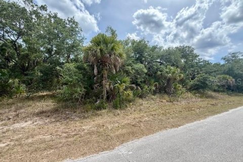 Land in Port Charlotte, Florida № 2197325 - photo 4