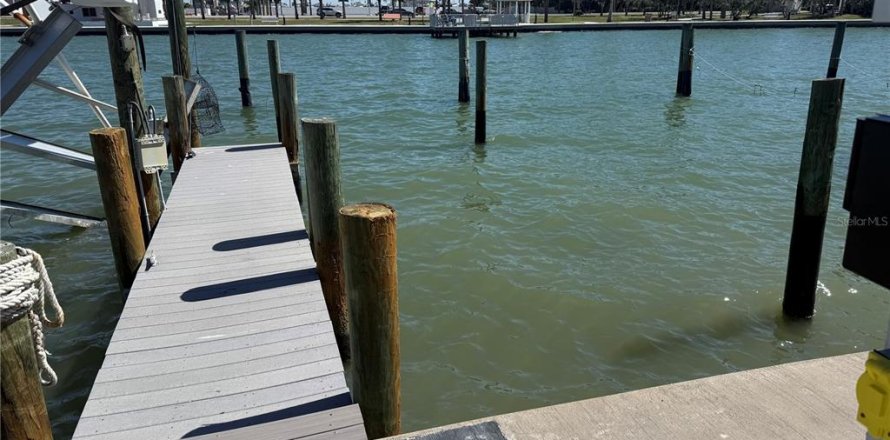 Condominio en Madeira Beach, Florida, 2 dormitorios № 1569470
