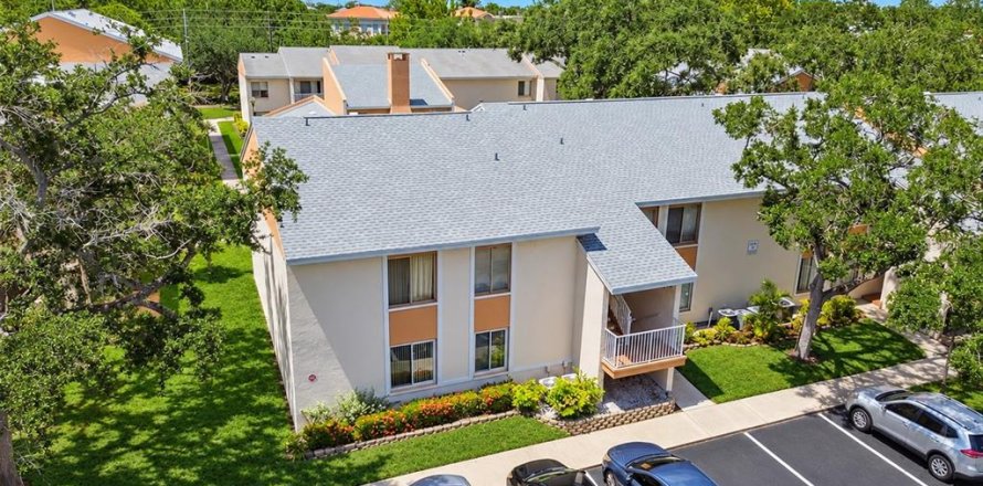 Condo à Saint Petersburg, Floride, 1 chambre № 2425364