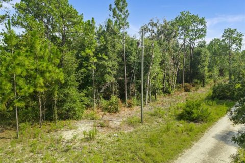 Terrain à vendre à Williston, Floride № 2259119 - photo 6