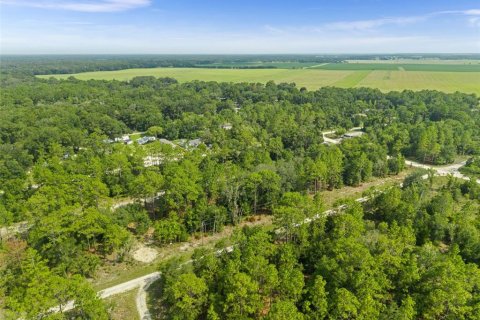 Land in Williston, Florida № 2259119